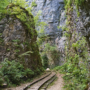 Железная дорога в гуамском ущелье